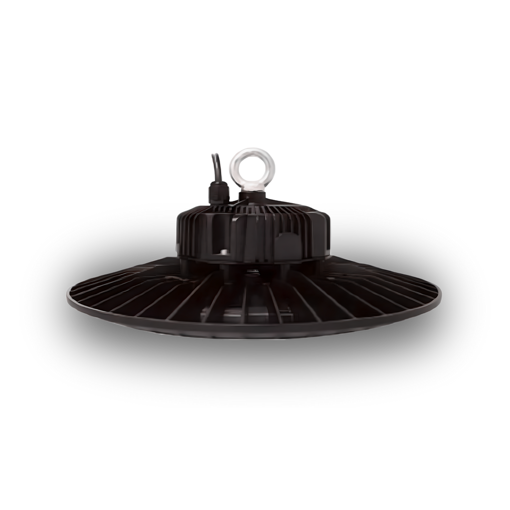 CAMPANA ACTUALITE HEAVY DUTY 300W DS1