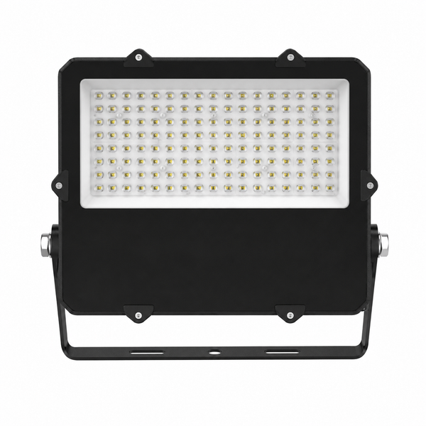 PROYECTOR QUADRALED BR G8 100W DS1