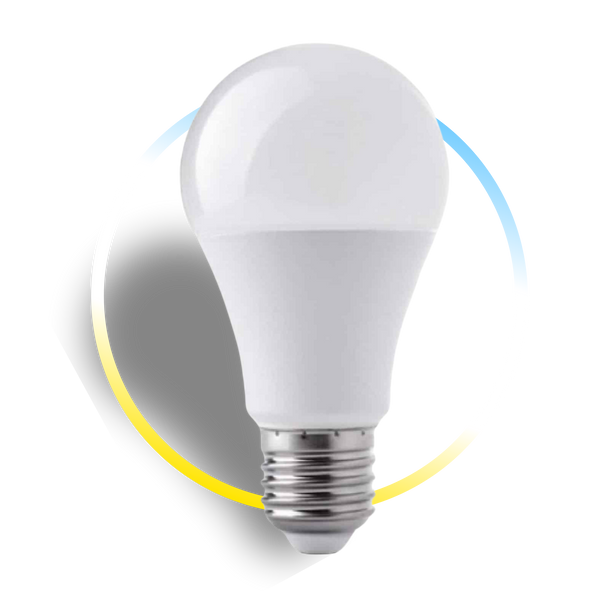 AMPOLLETA BULBO LED 9W E-27 12/24V